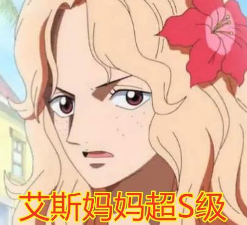 海贼王哪位妈妈最美娜美妈b级山治妈s级他妈妈超s级
