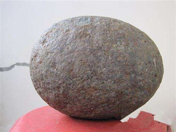 爱犬在海边捡到一蛋型石头, 敲开查看后却称要发了