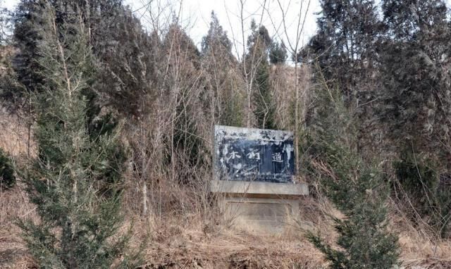 大美蜀地,万古清高,静远飘逸,最美木门道欢迎你