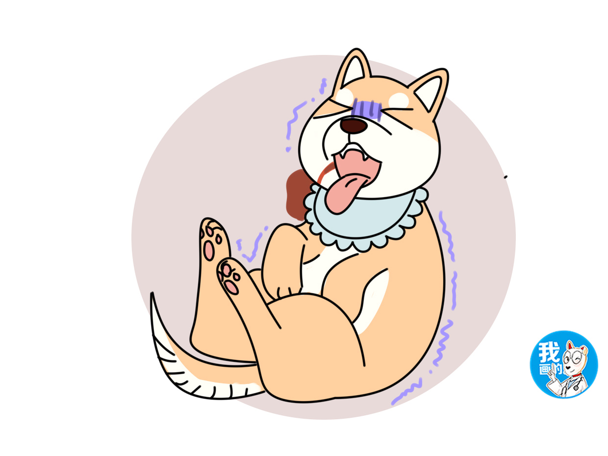 只听过细小,犬瘟,你可知钩端螺旋体病的危害?甚至还会传染给人