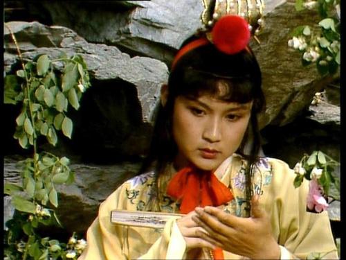 贾母给宝玉雀金裘,给宝琴凫靥裘,是偶然为之,还是有什么深意?