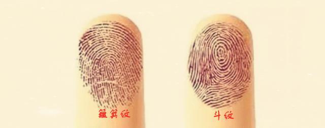 一斗穷二斗富手指有几个斗纹就代表什么命