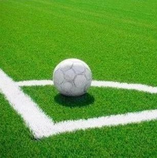 共创草坪规模世界第一 却不能靠主营业务盈利？