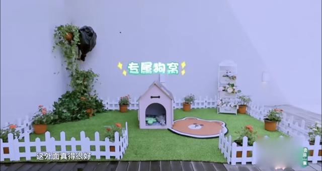 郑爽男友系隐形富豪超大阳台养狗一吵架就让郑爽找张翰胡彦斌