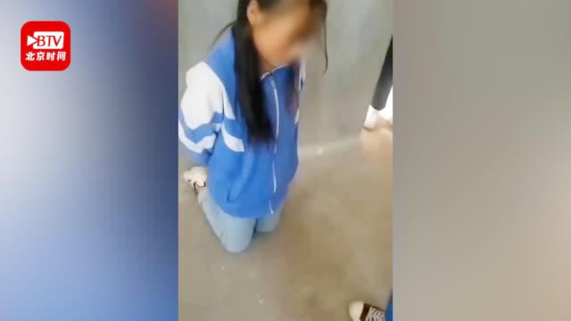 校园女生暴力视频