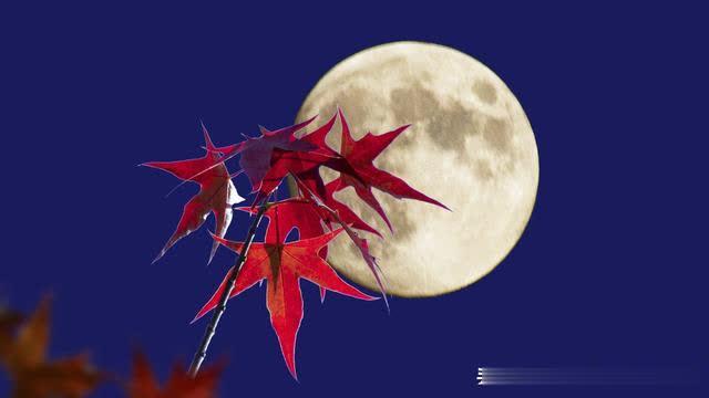 风花雪月美相思,残月如血醉秋霜,相思尽染人断肠|相思|残月|秋霜_新浪