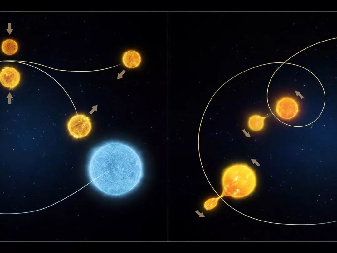 哈勃揭示16万光年外,大麦哲伦星云中星团是“动态老化”的!|星云|星团|大麦_新浪新闻