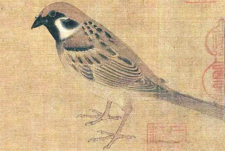 宋徽宗画了20只鸟卖5510万元他更厉害画了一只鸟就卖42亿