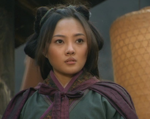 至于潘金莲,潘巧云,阎婆惜,白秀英,李师师等女性,都被《水浒传》的