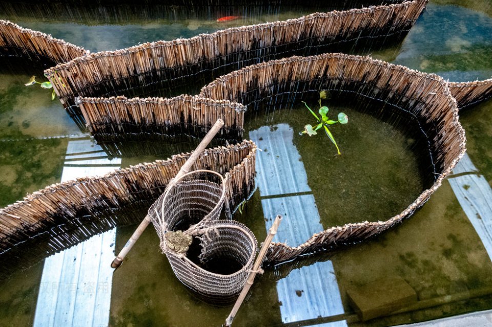 白洋淀迷魂阵捕鱼不下鱼食不用诱饵不用撒网不用打捞