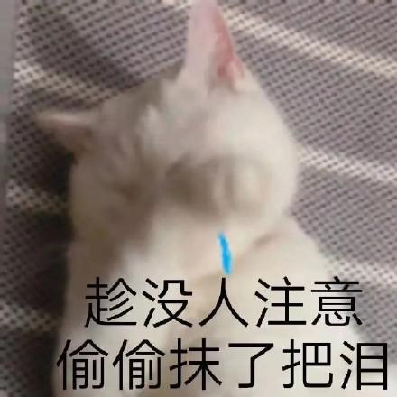 大学老师上课播放音频点名