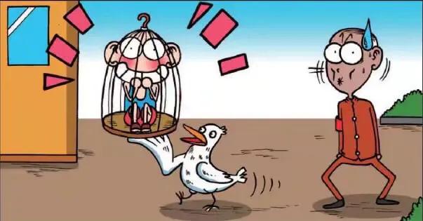 呆头农场:每顿吃一根面条越吃越胖,不能遛鸟就只能被鸟遛!