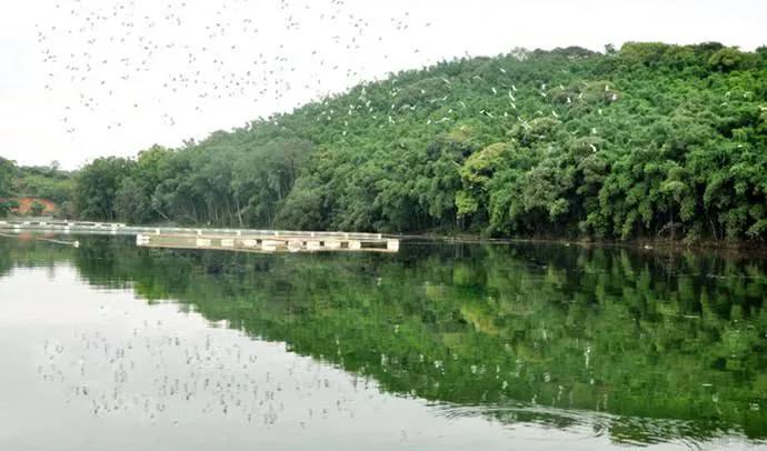 广西玉林博白县四个值得一去的旅游景点,爱旅游的朋友不要错过了|宴石山风景名胜区|博白县|王力_新浪新闻