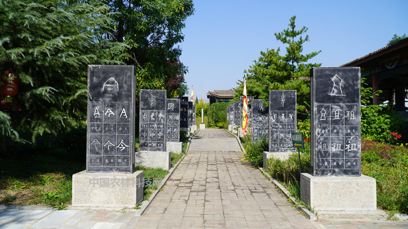 仓颉鸟迹书中华汉字源渭南白水县仓颉庙拜谒中华文祖
