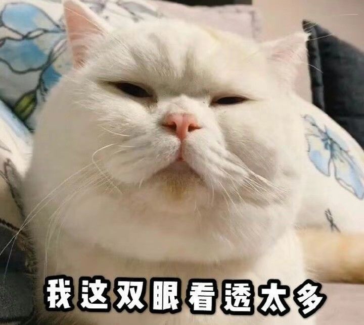 是一件比较幸福的事情,不仅收入高,而且粉丝对艺人的包容程度也很高