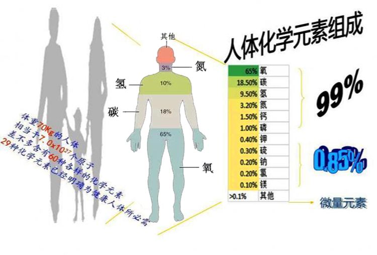 “鬼火”从科学上讲是什么？为什么现在很少见到？|化学反应|鬼火|磷火_新浪新闻