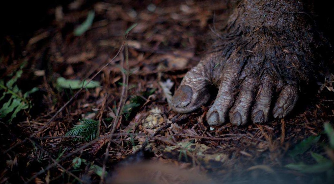 也有关于"大脚怪"的相关传说;现在人们不仅找到了疑似野人的脚印,甚至