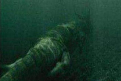 蛟龙号发现了什么?海底突现12米巨型真龙,潜水员吓癫真相