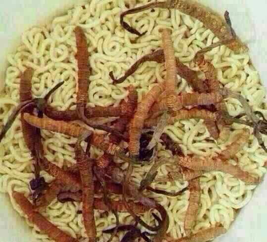 吃货炫富神清气爽冬虫夏草用来泡面煎饼和玛莎拉蒂绝配