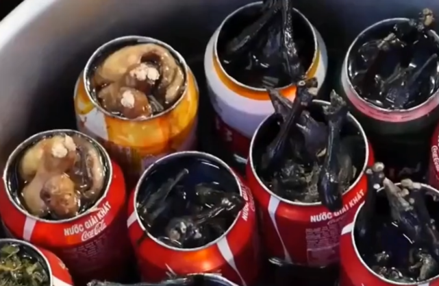 原来这才是“名副其实”的可乐鸡,越南人的最爱,外地人却不敢吃休闲区蓝鸢梦想 - Www.slyday.coM 原来这才是“名副其实”的可乐鸡,越南人的最爱,外地人却不敢吃休闲区蓝鸢梦想 - Www.slyday.coM