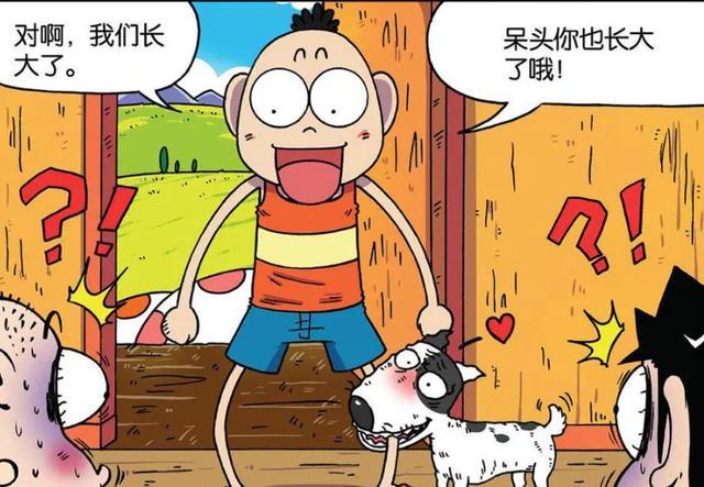 呆头农场:瓜娃子和小白"不舍分割"?旺财:还真是长大了!