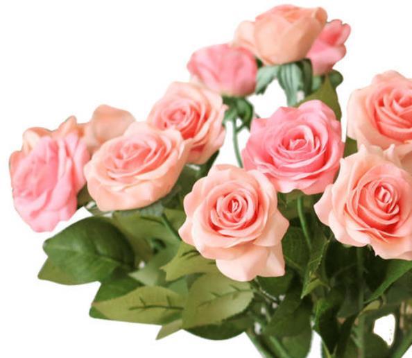 喜欢菊花,不如养盆"优良玫瑰"和音玫瑰,粉嫩少女心,娇巧迷人