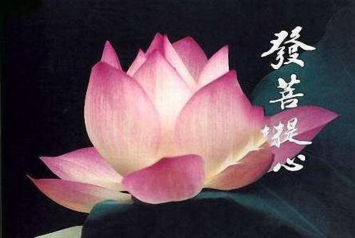 佛前必发的4种愿学佛修行才能步入正轨愿愿都是无尽的慈悲心