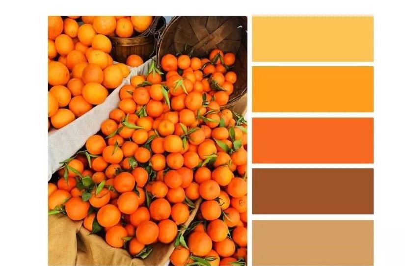 秋季微凉清冷,在家居搭配中增添橙色