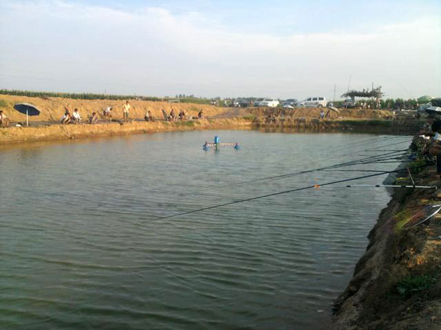 什么是黑坑,为什么现在很多鱼塘老板要求强制"回鱼"?