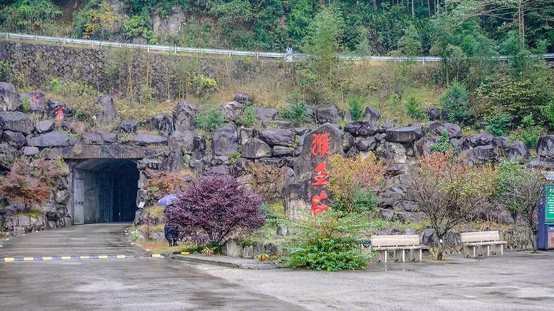 浙江拍猴子最佳摄影地,温州文成县铜铃山猴王谷