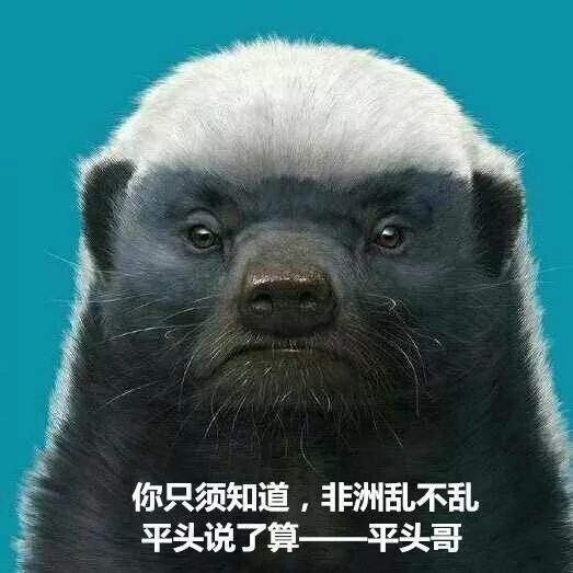 横字当头cevc赛场惊现平头哥