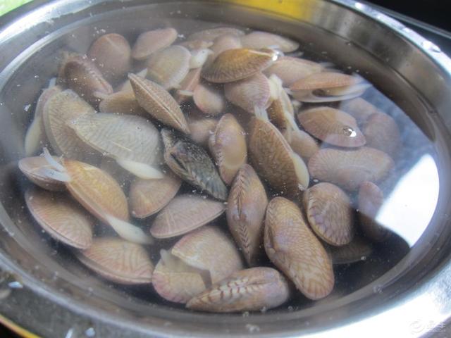 清洗花甲,别只会用盐水泡!多加3样东西,洗得又快又干净