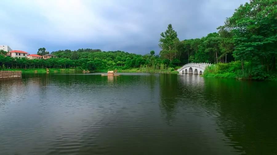 山东金乡金山公园,被誉为一个有故事的公园