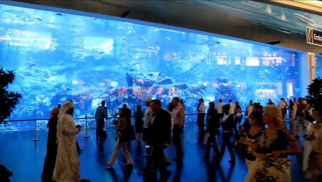 世界最大的购物中心，逛街时鲨鱼在身边游走，购物者的天堂