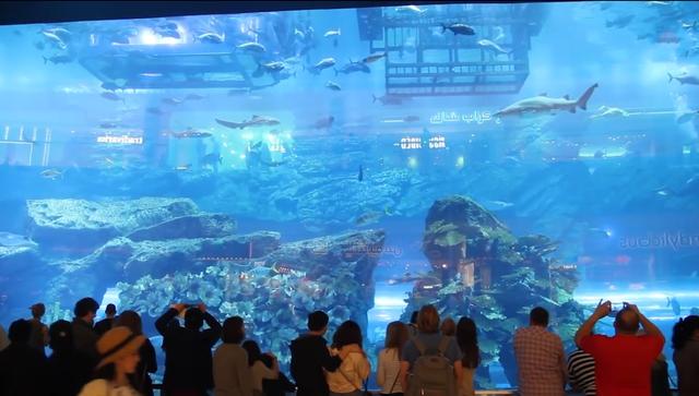 世界最大的购物中心，逛街时鲨鱼在身边游走，购物者的天堂