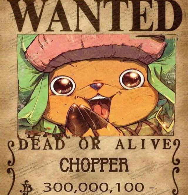 海贼王和之国篇章后草帽一伙的悬赏令乔巴终于涨价了