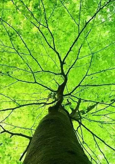 摄影有一个角度拍出来的照片美极了