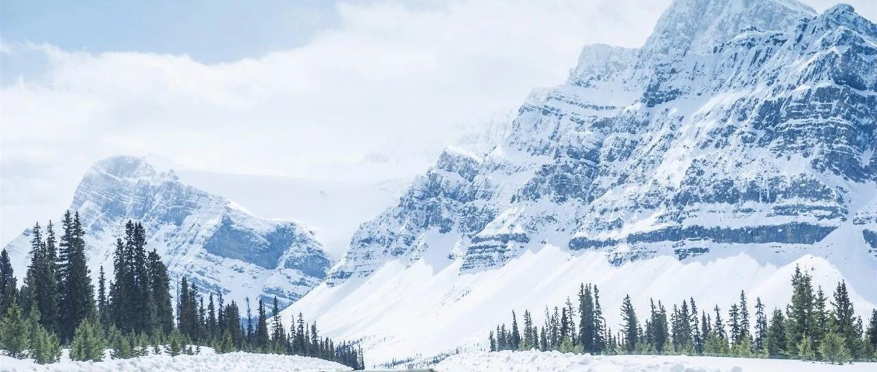 【白糖】妖糖又变脸