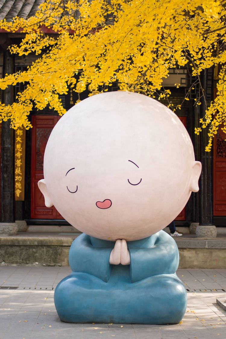 成都最美银杏在市中心,闹市中的寺庙很安逸,小和尚超可爱