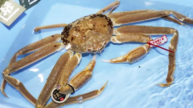 一张纸最多可以对折几次?打破吉尼斯世界纪录