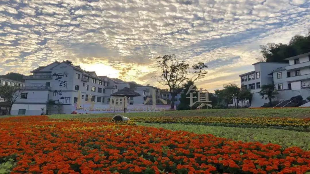 艺术助力乡村振兴!淳安县梓桐镇第五届书画文化节今日开幕!