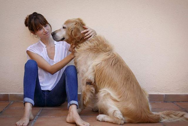家庭中,如没一个强势的主人,不要让狗狗和孩子单独相处