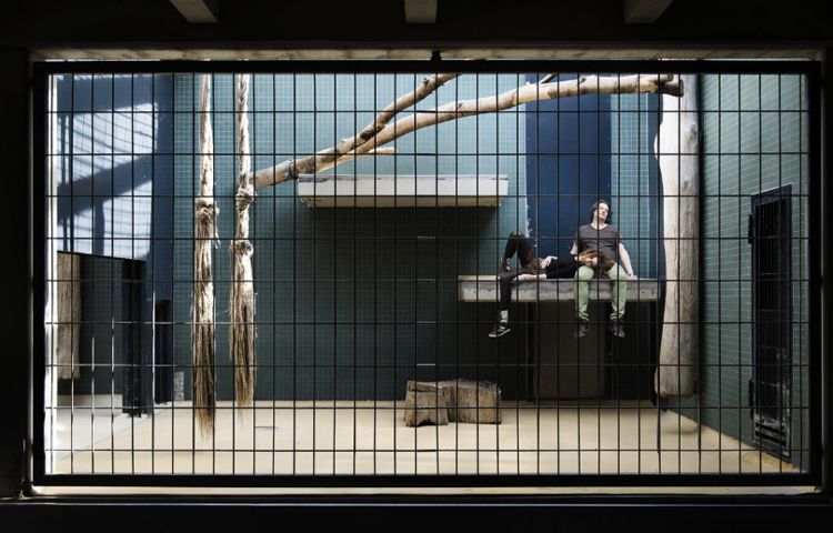 像动物一样关进牢笼被人观赏,一年给你一百万,你能接受吗?