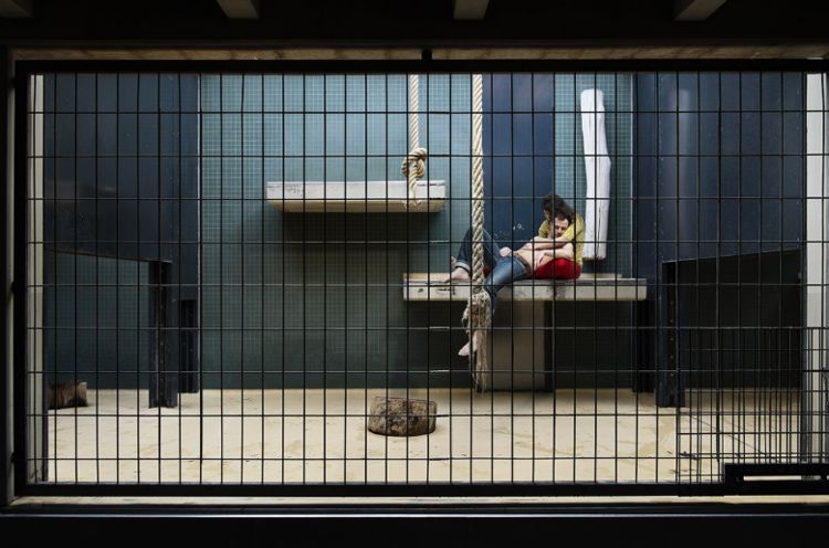 像动物一样关进牢笼被人观赏,一年给你一百万,你能接受吗?