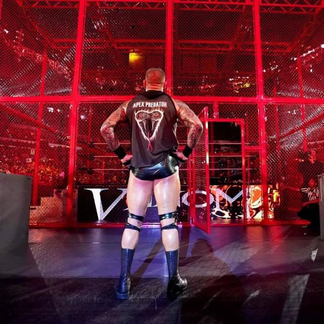 他竟把wwe麦克曼家族团灭了|兰迪|wwe_新浪新闻