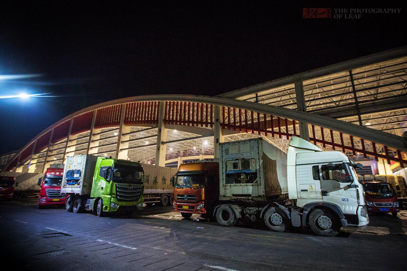 夜访浙江象山中国水产城,寒风中不怕脏不怕累,为生活拼搏的人们