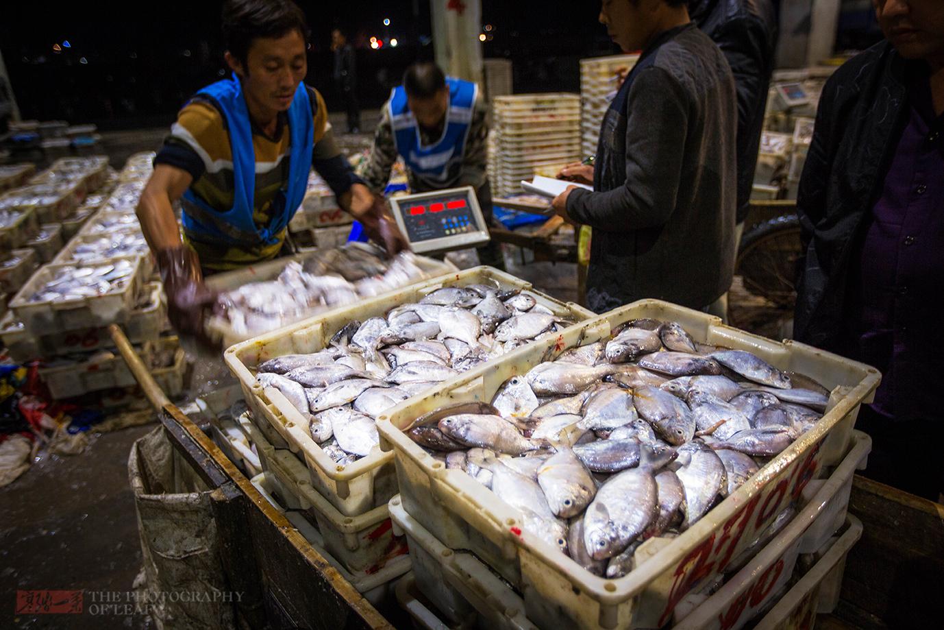 夜访浙江象山中国水产城,寒风中不怕脏不怕累,为生活拼搏的人们