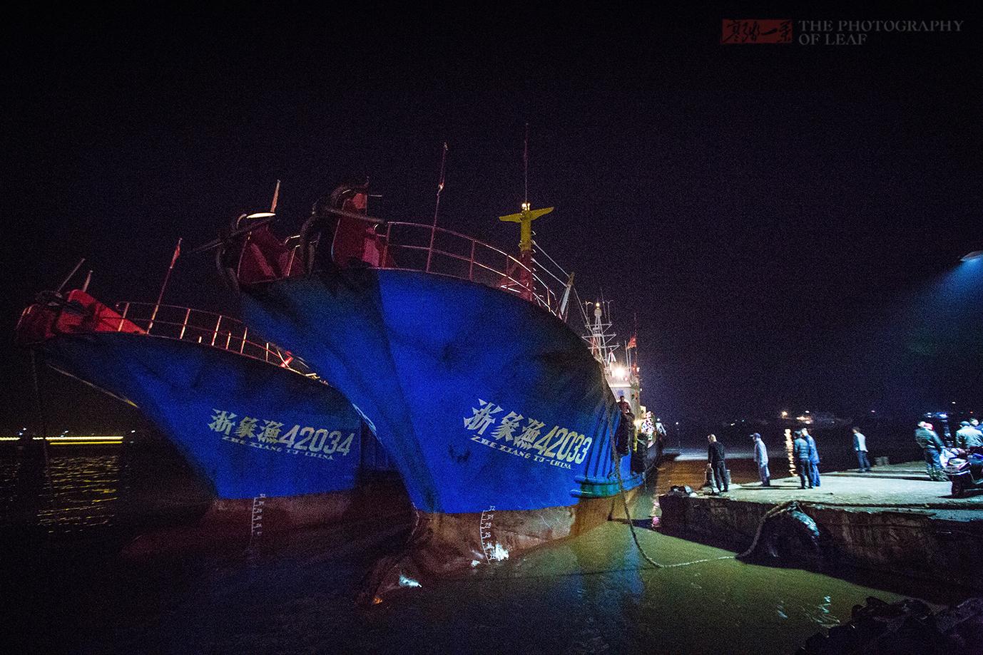 夜访浙江象山中国水产城,寒风中不怕脏不怕累,为生活拼搏的人们