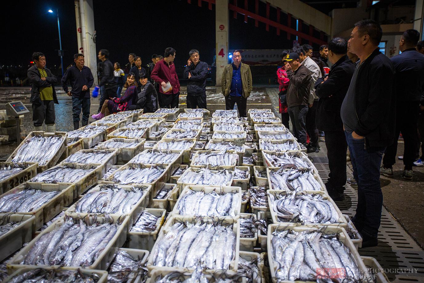 夜访浙江象山中国水产城,寒风中不怕脏不怕累,为生活拼搏的人们