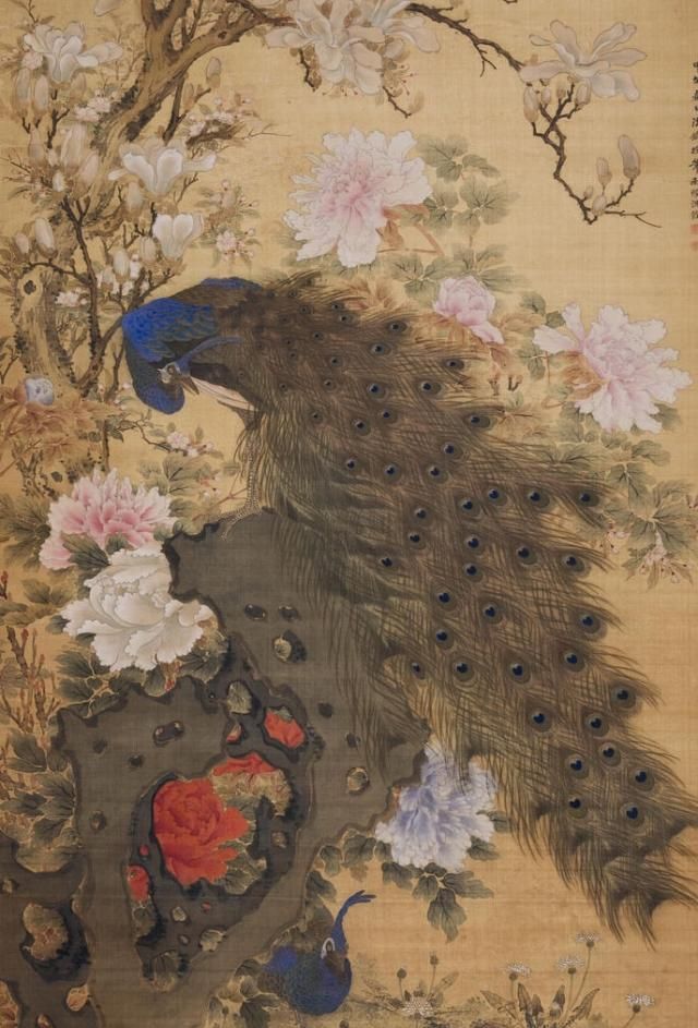 八大山人为何画丑陋无比的孔雀原来他又想骂人了